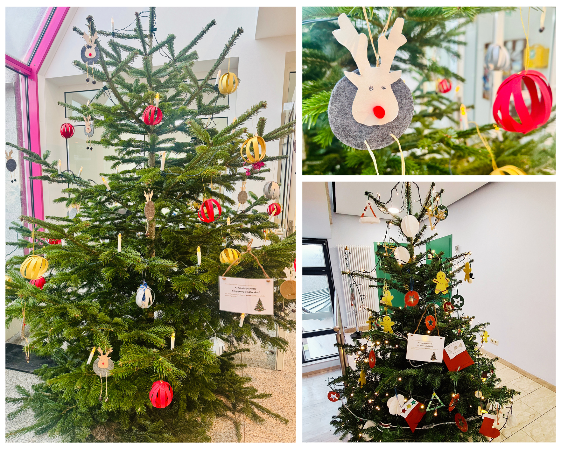 Weihnachtsbäume - 1