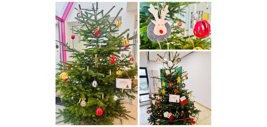 Weihnachtsbäume - 1