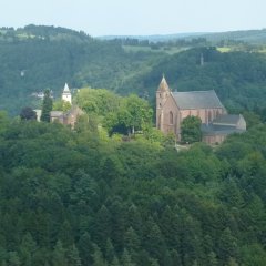 Foto Stiftsberg mit Stiftskirche in waldreicher Umgebung