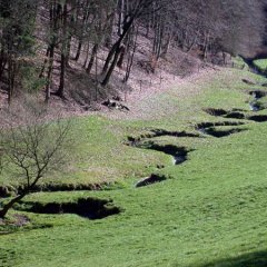 Ein mäandrierender Bachverlauf im Ortsteil Berghausen