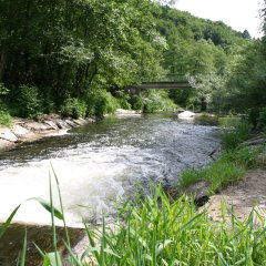 Die Prüm mit viel Grün und Wanderbrücke