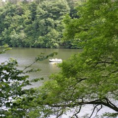 Blick durch Äaste auf den Stausee