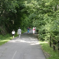 Wandergruppe entlang des Uferrundweges