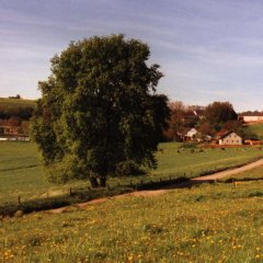 Blick auf Brimingen