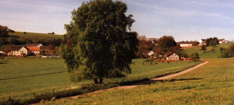 Blick auf Brimingen