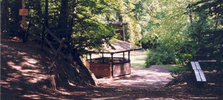 Blick auf die Ortsgemeinde Dahlem