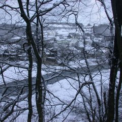 Echtershausen im Winter - Blick auf die Ortslage durch Bäume hinweg