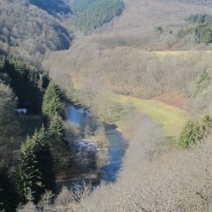 Waldreiches Prümtal bei Echtershausen