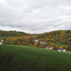 Blick auf die Ortsgemeinde Enzen aus Richtung Nusbaum