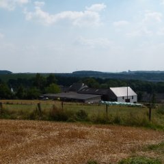 Blick auf die Ortsgemeinde Etteldorf - nur wenige Häuser sichtbar