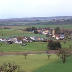 Blick auf einen Teil der Ortslage Gondorf