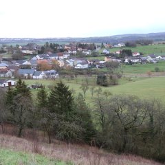 Blick auf die Ortslage Gondorf