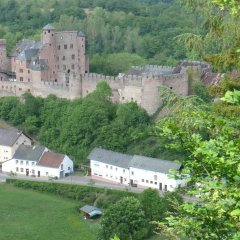 Blick auf die Ortsgemeinde Hamm mit Schloss Hamm