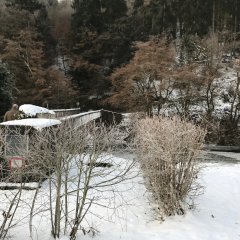 Prümbrücke im Winter
