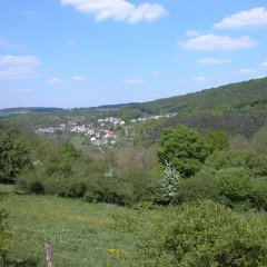 Blick auf die Ortsgemeinde Hüttingen a. d. Kyll aus der Ferne in waldreicher Umgebung