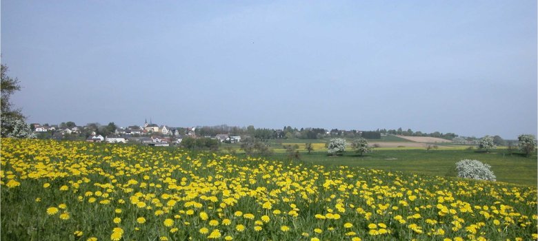 Fernblick auf Idenheim im Frühsommer