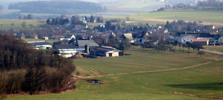 Blick auf die Ortsgemeinde Idesheim