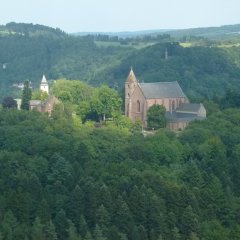 Fernblick auf die Stiftskirche in waldreicher Umgebung