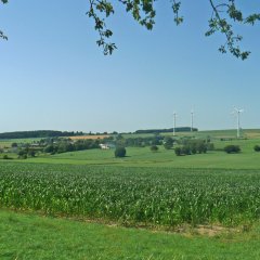 Blick auf die Ortsgemeinde Kyllburgweiler