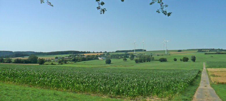 Blick auf die Ortsgemeinde Kyllburgweiler
