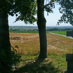 Wegekreuz mit zwei Bäumen umstanden