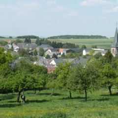 Blick auf Meckel - im Vordergrund Streuobstwiese