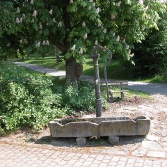 Sandsteintrog mit Handschlengel zur Wasserentnahme