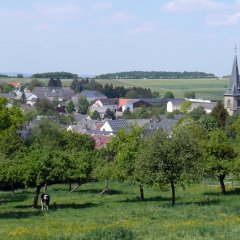 Weiterer Blick auf die Ortsgemeinde Meckel über Streuobstwiesen hinweg