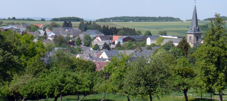 Blick auf die Ortsgemeinde Meckel