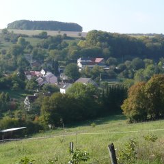 Blick auf die baumreiche Ortslage