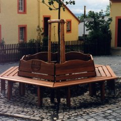 mit Ruhebänken eingefasster junger Baum