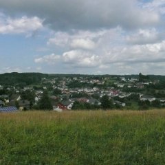 Blick auf die Ortsgemeinde Neidenbach