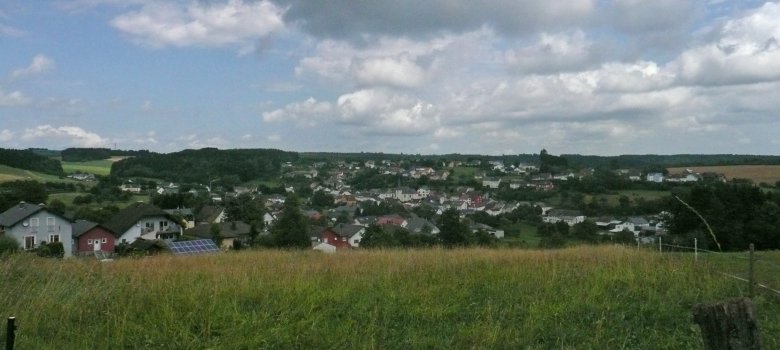 Blick auf die Ortsgemeinde Neidenbach