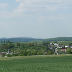 Blick auf die Ortsgemeinde Niederstedem