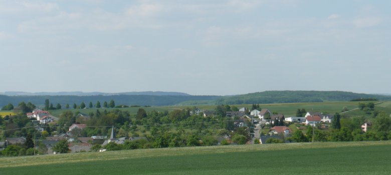 Blick auf die Ortsgemeinde Niederstedem