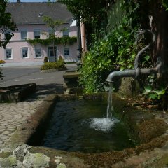 Dorfbrunnen mit Sandstreintrog, im Hintergrund renoviertes Wohnhaus