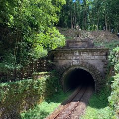 eingleisiger Bahntunnel mit Eule auf dem Portal