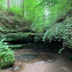 kleiner Wasserfall mit Wasserbecken im Wald