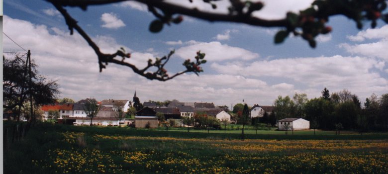 Blick auf die Ortsgemeinde Scharfbillig