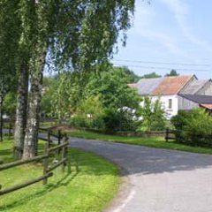 Blick in die mit Bäumen umfasste Straße des Ortsteiles Bruderholz