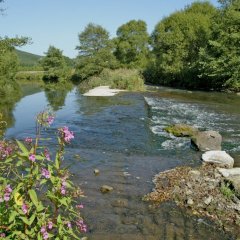 der Flusslauf der Kyll am Ortsteil Sankt Johann im Grünen