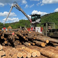 Ein Greifkkran am Sägewerk vor einem Holzpolter