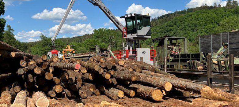 Ein Greifkkran am Sägewerk vor einem Holzpolter