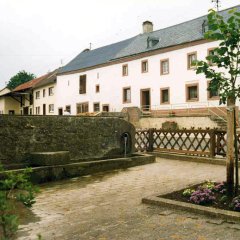 Dorfbrunnen mit langgestreckten Sandsteintrog und mit Bauernhaus im Hintergrund