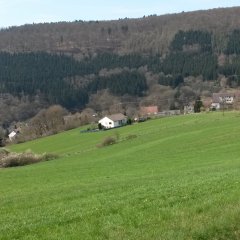 Blick auf die Ortslage von der Höhe ins Kylltal