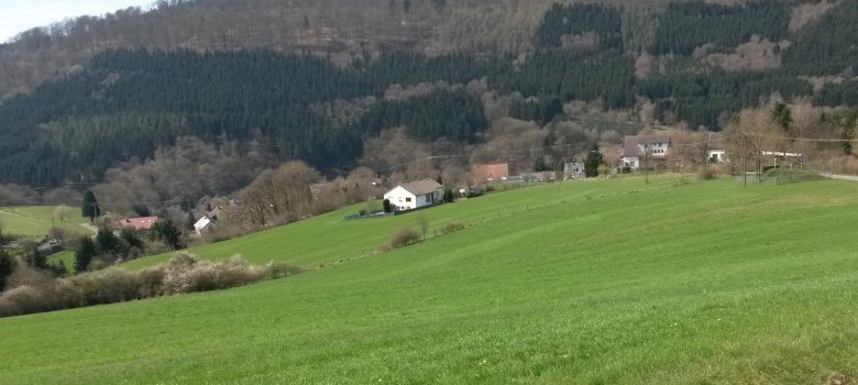 Blick auf die Ortslage von der Höhe ins Kylltal